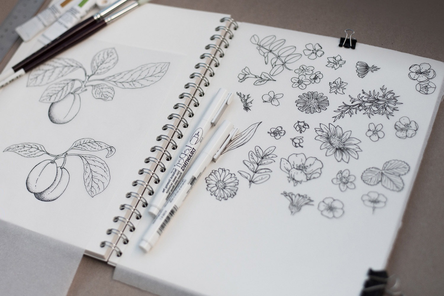 Pen & pencil flowers drawings